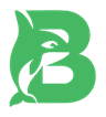 Bettorca